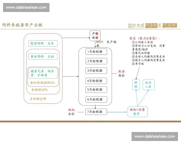 菲伦斯与通德拉对决全解析：战略博弈与胜负关键因素剖析